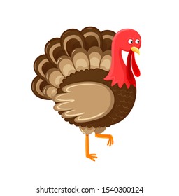 Bird Symbol Of Thanksgiving Day Isolated Icon Raster. Animal With Feathers Sign Of Autumn Fall American Holiday. Unprepared Meat, Standing Poultry