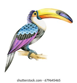 Bird toucan made in watercolor technique