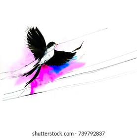Bird Watercolor Illustration. A Black And White Bird Flying Isolated On Pink Background.