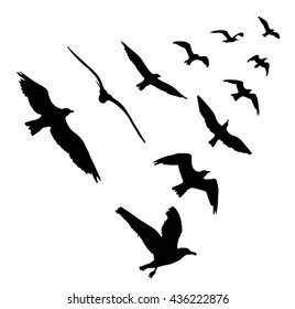 Flock Birds Pigeons Go Black Silhouette Stock Vector (Royalty Free ...