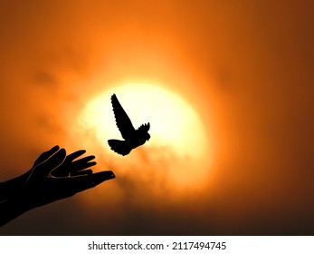 Birds Flying For Freedom From An Open Hand, Freedom Concept, The Bird Released From The Hand, Bird Set Free, Hope Concept.