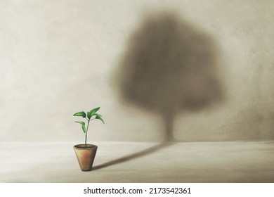 Birth Of A Small Plant With Surreal Shadow Of A Large Tree, Concept Of Life
