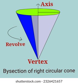 Bisection of right circular cone in geometry.