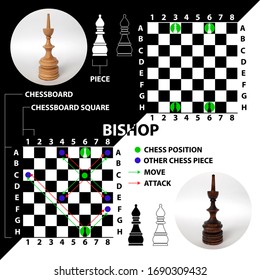 ポーン イラストやアイコンの形で作られたチェスの駒 チェスボード上の位置と移動の説明を含む白黒のポーン 初級チェス選手用の教材 のベクター画像素材 ロイヤリティフリー Shutterstock