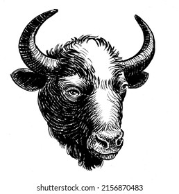 Bison Bull Head. Ink Black And White Drawing