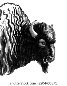 Bison Bull Head. Ink Black And White Drawing