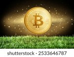 Bitcoin 3d illustration in a golden star night sky with bright green grass below