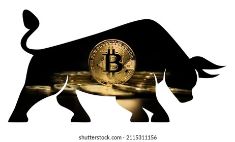 Bitcoin BTC Bull Market Is Coming. Bull Market Wall Street Financial Concept