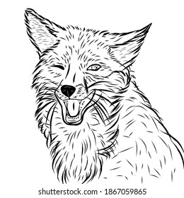 Wolf Drawing Stock Vector (Royalty Free) 207821200 | Shutterstock