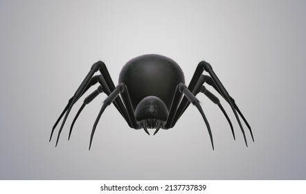 Black 3D Spider Illustration. Realistic Spider.