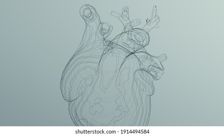 Black Anatomical Heart Line Art Wireframe Sculpture 3d Illustration Render