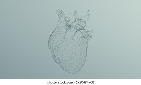 Black Anatomical Heart Line Art Wireframe Sculpture 3d Illustration Render