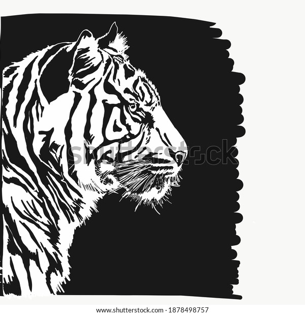 Black Background White Tiger Portrait Stock Illustration 1878498757
