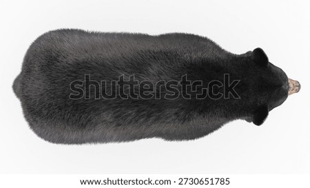 Black Bear 3D Model Rendering with Fur Top View