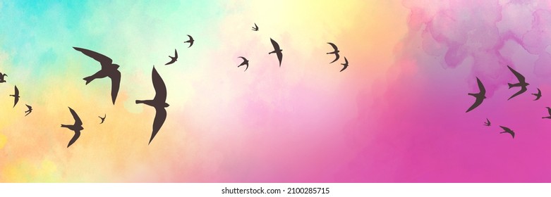 Black Bird Silhouettes On Sunset Sky Background, Birds Sketch In Black Outlines Flying In Sunset Clouds, Flock Of Birds, Colorful Blue Yellow Pink And Purple Clouds, Beautiful Sunset Colors In Nature