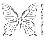 Black butterfly with blue and yellow (Papilio polyxenes) illustration on white background. Kids coloring page