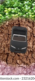 a black car posing in a tree trunk