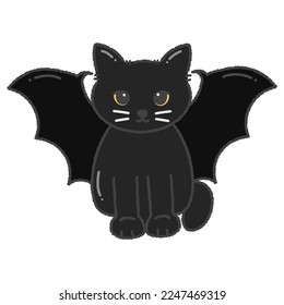 Black cat and bat