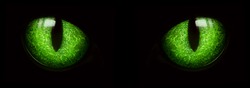 Black Cat Green Eyes Glowing In The Dark. Two Green Eyes Glowing In The Darkness Isolated On Black.