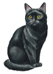 Black Cat Hand Drawing On An Isolated White Background. Animal Watercolor Illustration. Cute Pet Hand Drawn, Funny Cat