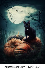 Black Cat On A Pumpkin