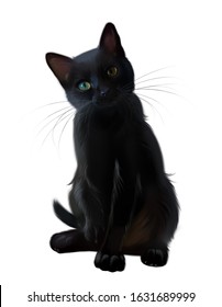 184,603 Black cat drawing Images, Stock Photos & Vectors | Shutterstock