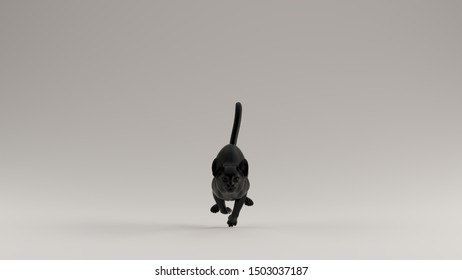 Black Cat Running Front Pose 3d 