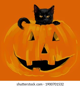 Black Cat Sitting In A Pumpkin