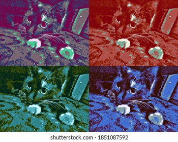 Black Cat In The Style Of Oil Paintin With Pop Art Style And Andy Warhol