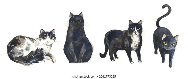 Black cats watercolor painting isolated white background  Black cat  tuxedo cat  long hair cat  Illustrations  Cat standing  walking towards you  walking   sitting  Cats perfect for Halloween  