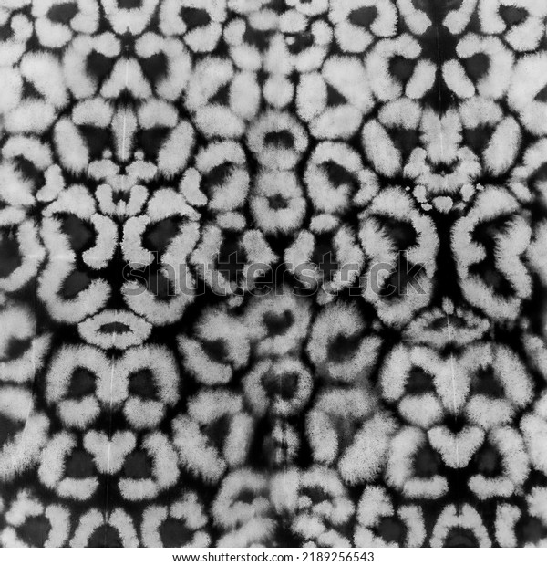 Black Cheetah Ethnic Art
Background. Tribal Ornament  Background. Morocco Print. Wallpaper
Grunge Tiger Ethnic Painting Art. Tribal Ornament Texture. White
Stripe Bright