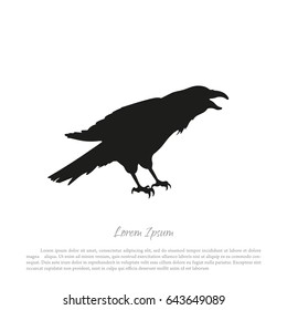 Black crow silhouette on a white background. Raven isolated.
