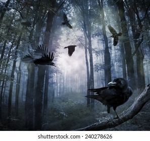 black crows flying in the forest in the night