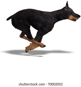 Black Doberman Dog. 3D rendering with clipping path and shadow over white