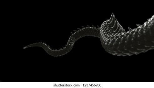 Black сhinese Dragon Tail 3D Illustration On Black Background.