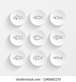 Black Drum, Bluefish, Cobia, Gag Grouper And Flounder Icons On Plate Illustration Set