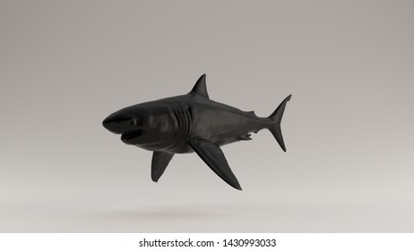 Black Great White Shark 3 Quarter Left View 3d Illustration 3d Render