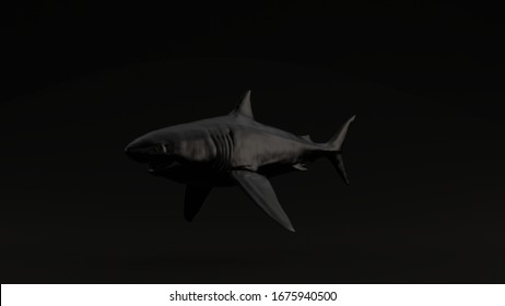 Black Great White Shark Black Background 3 Quarter Left View 3d Illustration 3d Render