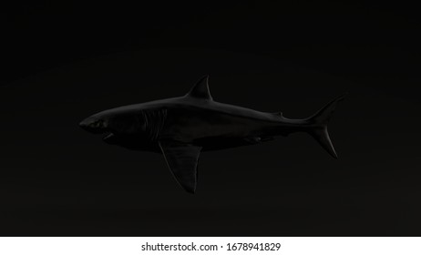 Black Great White Shark Black Background Left View 3d Illustration 3d Render