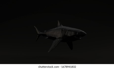 Black Great White Shark Black Background 3 Quarter Left View 3d Illustration 3d Render