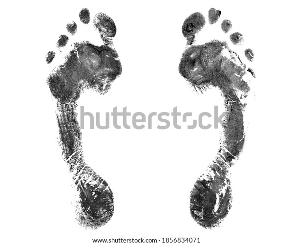 Black Human Footprint White Background Isolated Stock Illustration ...