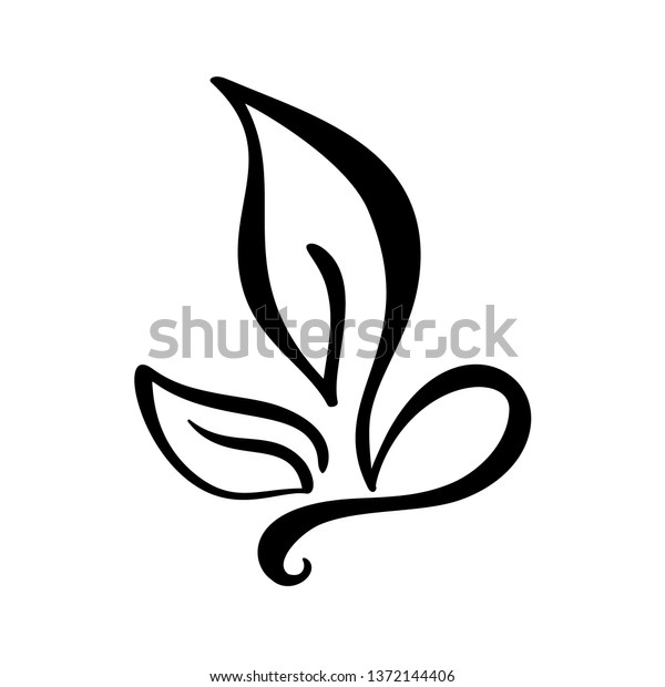 Black ink hand drawn\
calligraphy logo of leaf ecology element. Illustration design for\
wedding and Valentines Day, birthday greeting card and web, eco\
icon
