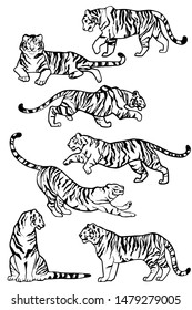 Black ink wild cat tiger predator set
