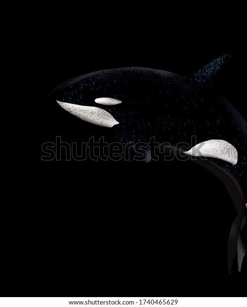 Black\
killer whale with star sky in black\
background.