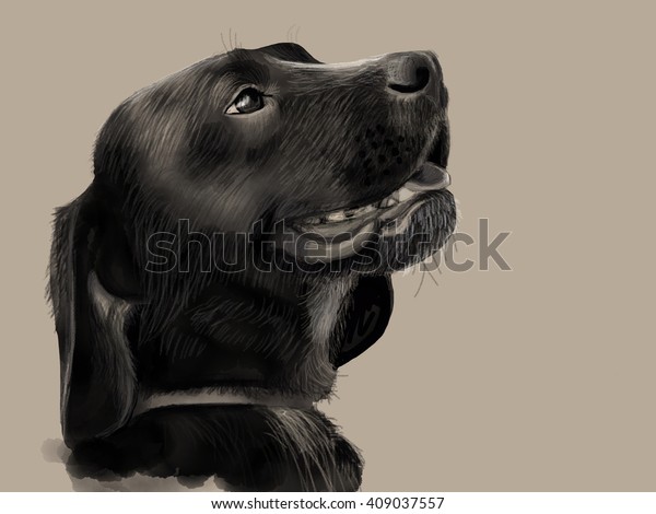 黒いラブラドル犬 水彩画 のイラスト素材