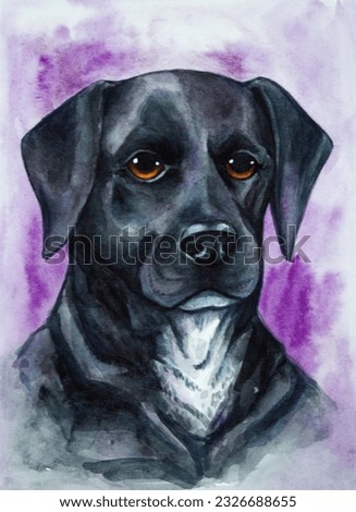 Black labrador painting watercolor portrait art