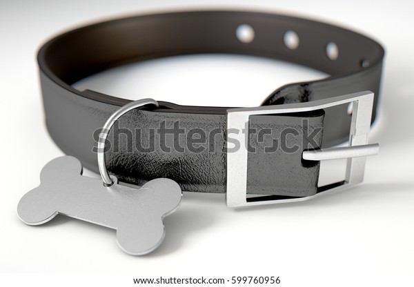 steel dog collar