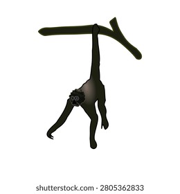 Black Monkey is hanging from a tree branch with white background- illustration 