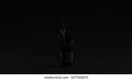 Black Mother In Laws Tongue Plant In A Pot Black Background Front View 3d Illustration 3d Render