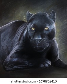 Black Panther Images Stock Photos Vectors Shutterstock